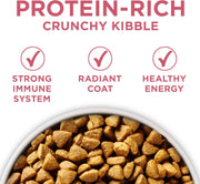 Purina ONE SmartBlend Natural Sensitive Systems, Digestive Health, and Limited Ingredient Formulas Adult Dog Food