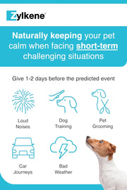 Zylkene Calming Chews for Small Dogs up to 10kg | Promotes Relaxation | Helps Pets cope with short-term challenging situations | Perfect for on the go, holidays, travelling, fireworks | 14 Chews