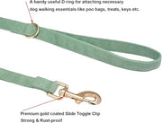 Dog Collar and Lead Set Small,Soft Non-irritant Corduroy Collar Leash Matching Combo for Daily Walking,Sage Green