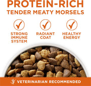 Purina ONE SmartBlend Natural Weight Control Dry Food for Adult Dogs and Wet Food