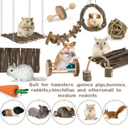 Hamster Chew Toys Set, Small Animal Teething Toys, Dwarf Hamster Toys, Guinea Pig Chew toys, Boredom Breaker Cage Accessories - Wood Sticks Ladder Bell Roller, for Rat Gerbil Guinea Pigs