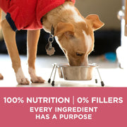Purina ONE SmartBlend Natural Sensitive Systems, Digestive Health, and Limited Ingredient Formulas Adult Dog Food