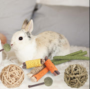YIXUND Rabbit Toys Guinea Pig Toys Hamster Toys Bunny Toys 18Pcs Natural Timothy Hay Sticks Apple Wood Sticks Chinchilla Toys for Teeth Care Handmade