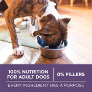 Purina ONE SmartBlend Vibrant Maturity Senior 7+ Formula Dog Food