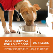 Purina ONE SmartBlend Natural Weight Control Dry Food for Adult Dogs and Wet Food