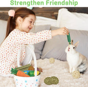 21-Pack Rabbit Toys Set, Natural Rabbit Chew Toys Boredom Breakers for Bunny, Hamster, Guinea Pig and Chinchilla, Apple Wood Timothy Hay Sticks Treating for Rabbit and Small Animals Teething