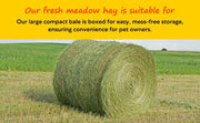 Shorefields, Small Compact, Meadow Hay, Bagged, 10kg