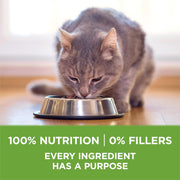 Purina ONE - Indoor Hairball & Healthy Weight Management - 3.5lb